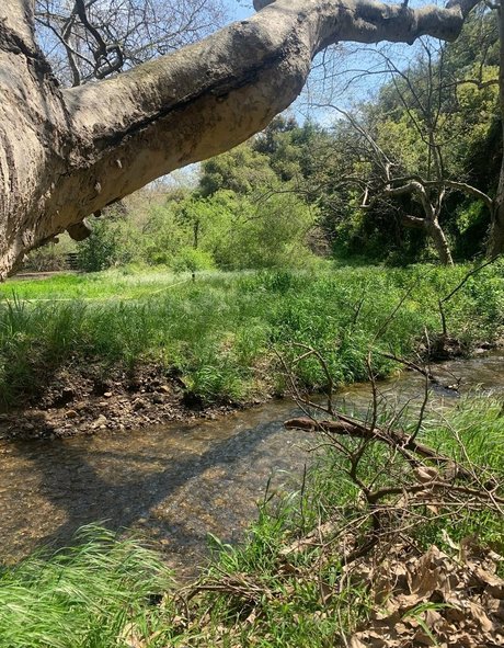 margotdeveraux model art pics