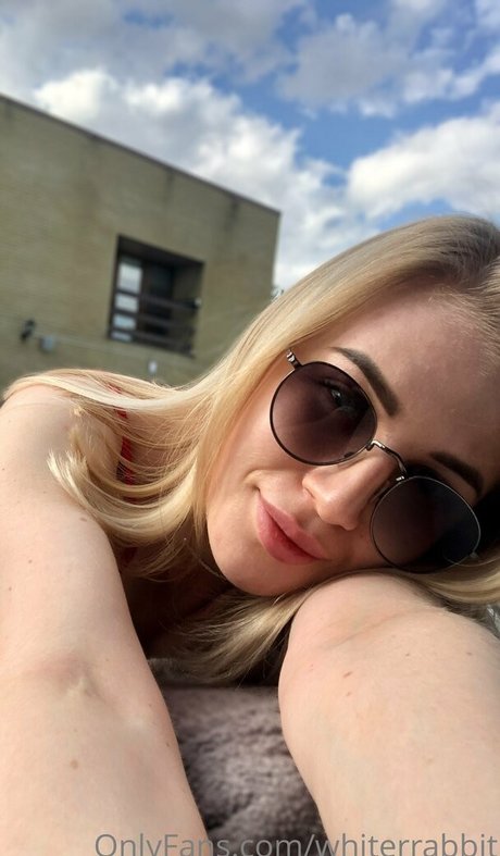 whiterrabbit star hot img