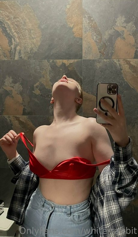 whiterrabbit star nice photo