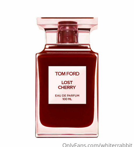 whiterrabbit model top pic