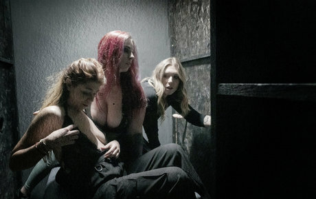 pervertmilan top star pictures