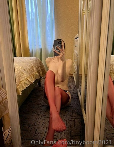 tinyboom2021 nice model img