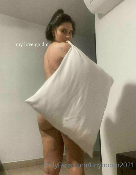 tinyboom2021 model art picture