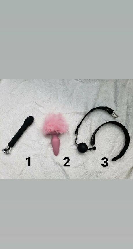 naughty salamander Profile photo