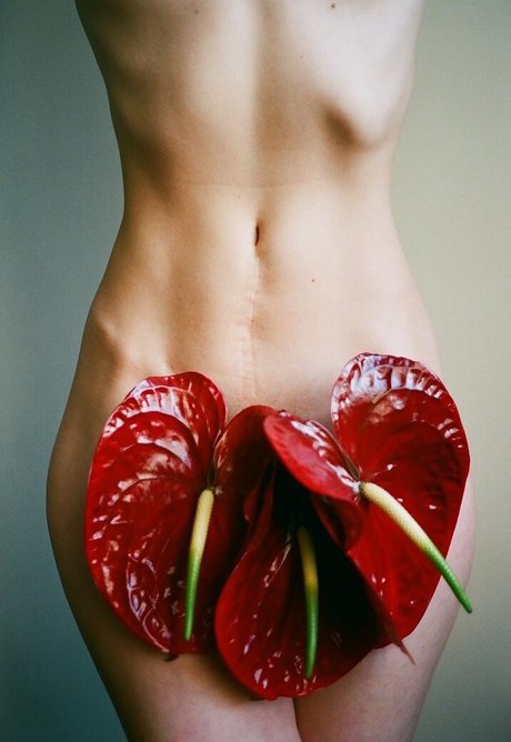 Kate Ri best pornstar gallery