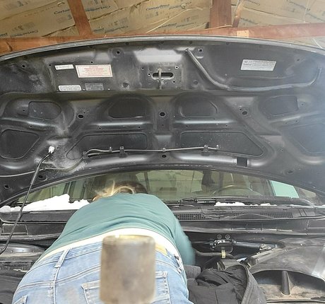 ameliab13 pornstar best picture