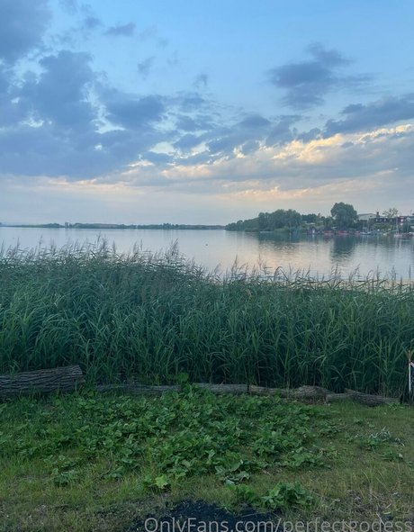 perfectgodess pornstar free img