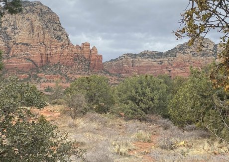 thick mature onlyfans free img