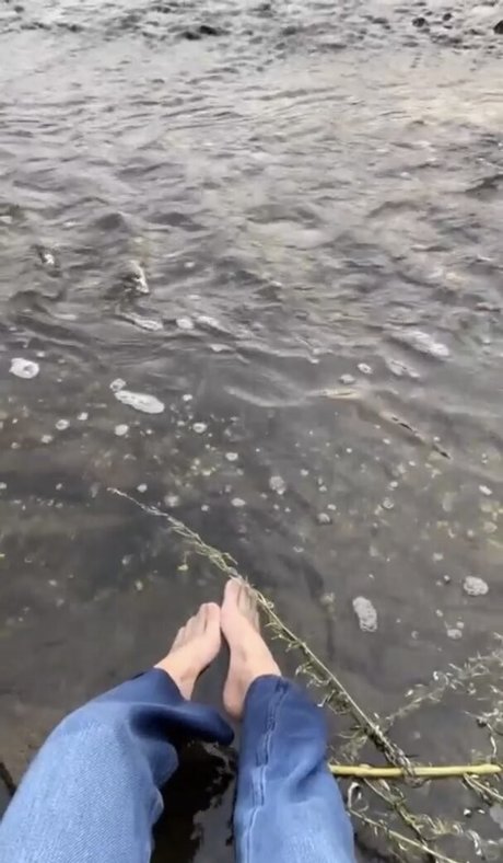 Vedmaris best star photo