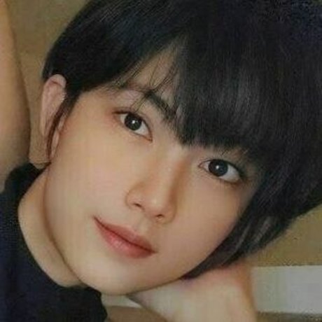 num noi3 nice pornstar galleries