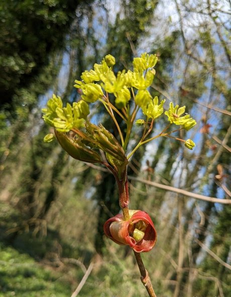 boobs onlyfans top gallery