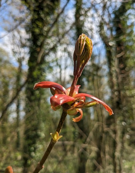 south african onlyfans hot sexy img