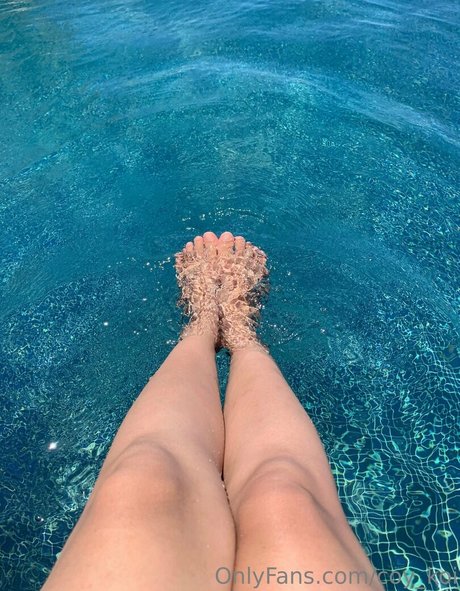 coy koi star free gallery