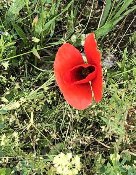 femdomyou nudes pornstar pictures