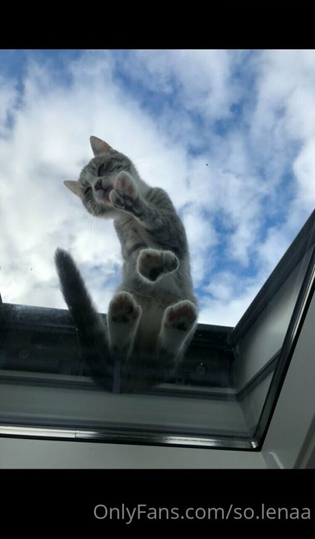 so lenaa hot pornstar pictures