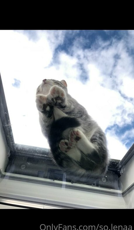 so lenaa star nudes picture