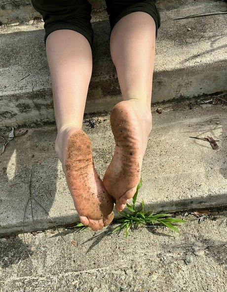 riariver model hd img