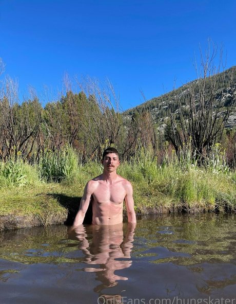 hungskater star adult galleries