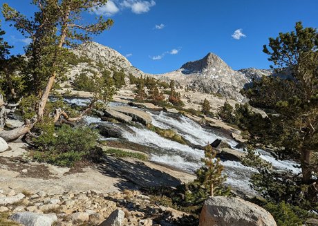 hungskater star top photo