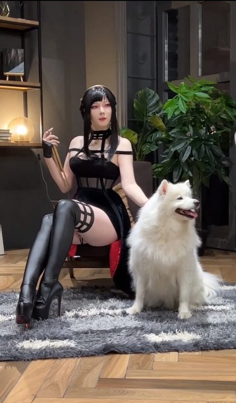 visagefox free model image