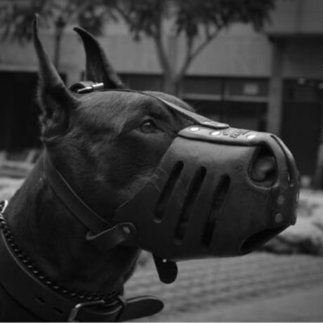 Rari_ best model photo