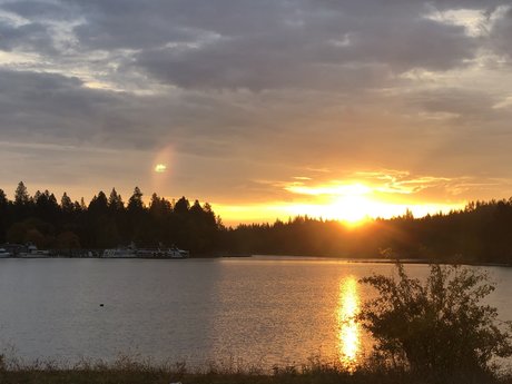 latina onlyfans hot xxx pictures