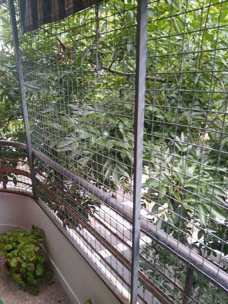 tanned onlyfans exclusive picture