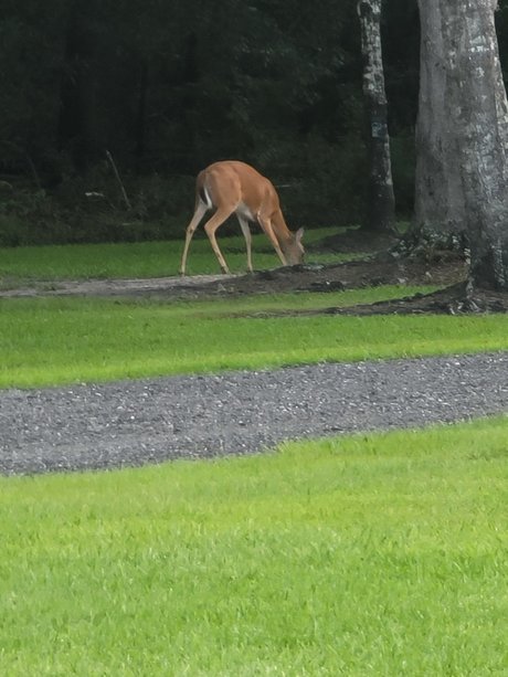 New start sexy pornstar picture