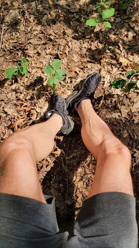 Alpha D nude pornstar gallery