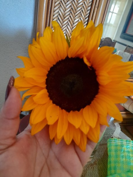 _Ojitos_ best star image