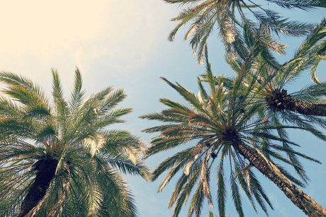 Tootiee_ sexy pornstar photo