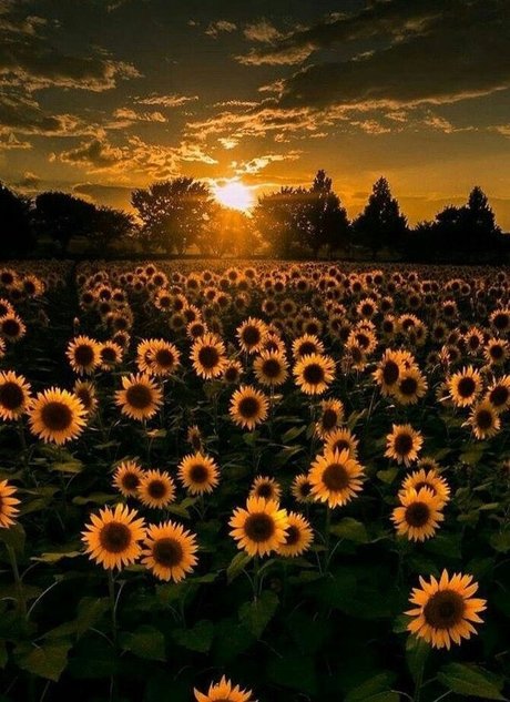 OhIThinkYouLikeMe model nudes image