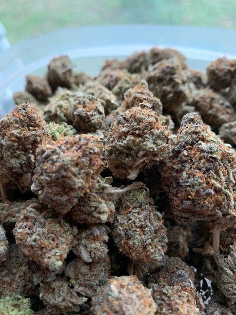 OgMack23 pornstar high quality picture