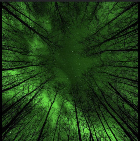 Ocean Irving model art photos