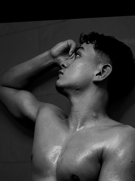 Adonis falcony pornstar image