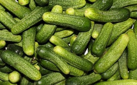 OnlyPickles porn actress img