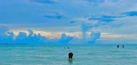 abrameduar star pornographic image