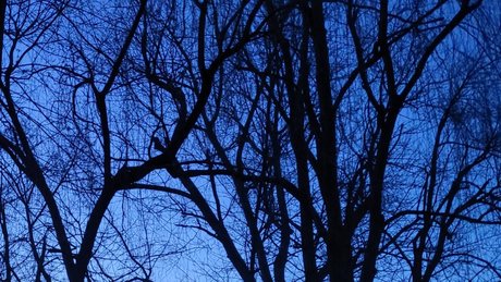 abiiighoul pornstar hd pictures