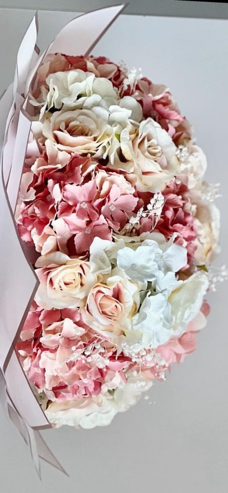 Olivia Ortiz free star pictures