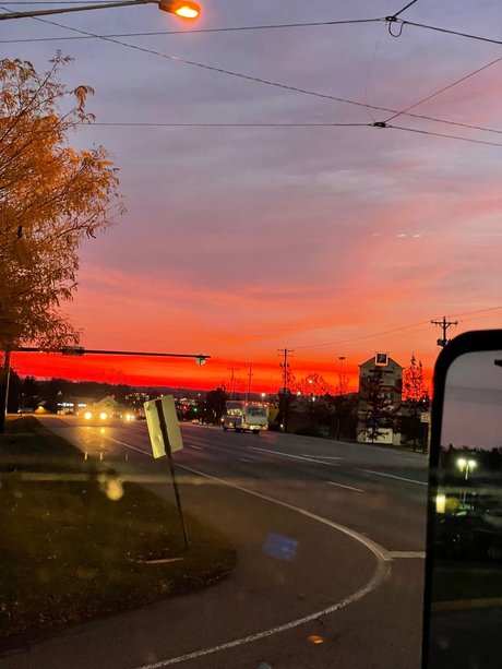 Rough Rican xxx model pics