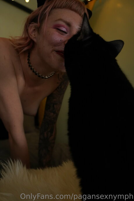 Kitten Nymph beautiful star pictures