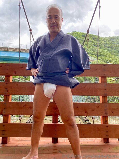 Tooru Ozawa model xxx picture