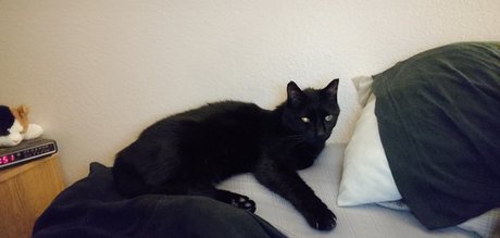 Outsdr hd model galleries