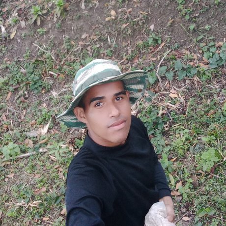 Oso Miguel hot star image