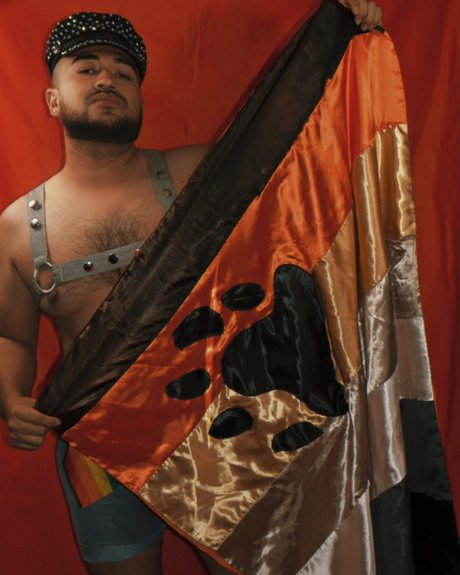 Oso Laredo model perfect image