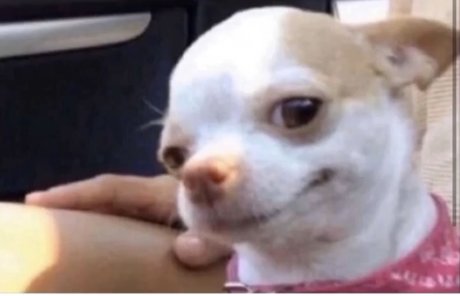 Orrion pornstar nudes galleries