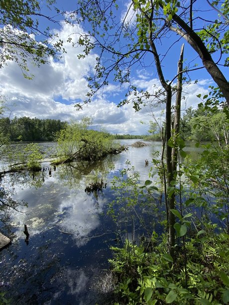 male asian onlyfans free sexy pic