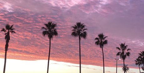 RoyTheCat naked model galleries