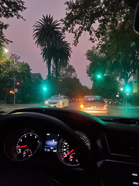 Mr Rose City_ model perfect photos