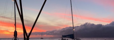 OperationThroatGOAT adult actress galleries